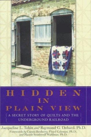Tapa de Hidden in plain view