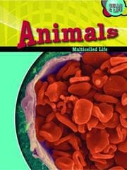 Tapa de Animals