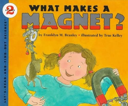 Tapa de What makes a magnet?