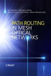 Tapa de Path routing in mesh optical networks