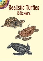 Tapa de Realistic Turtles Stickers