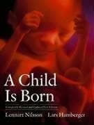 Tapa de A child is born