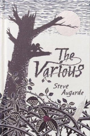 Tapa de The Various (The Touchstone Trilogy #1)