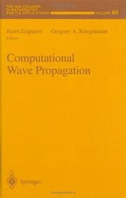 Tapa de Computational wave propagation