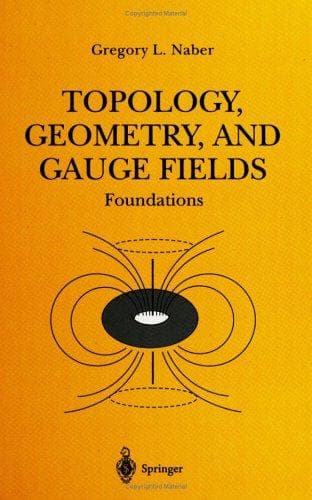 Tapa de Topology, Geometry, and Gauge Fields