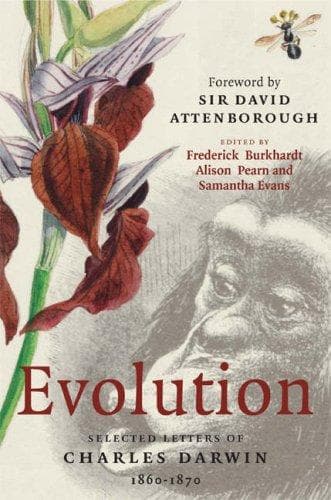 Tapa de Evolution