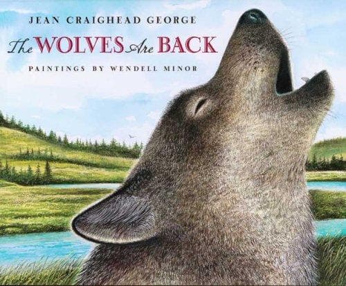 Tapa de And the wolves came back