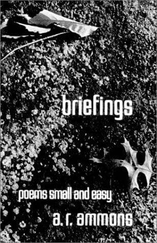 Tapa de Briefings