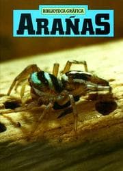 Tapa de Aranas (Spiders)