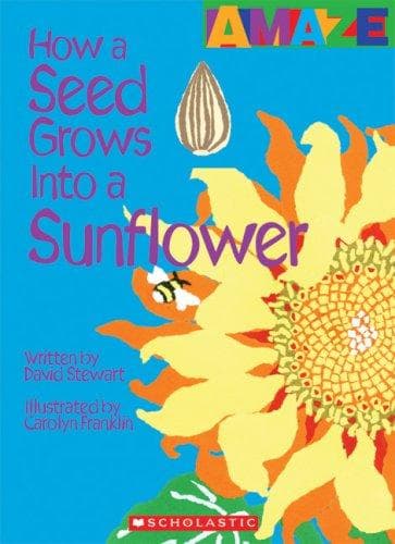 Tapa de How a Seed Grows Into a Sunflower (Amaze)