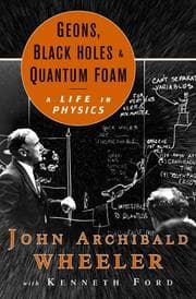 Tapa de Geons, black holes, and quantum foam