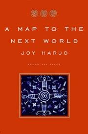 Tapa de A Map to the Next World