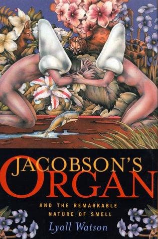 Tapa de Jacobson's Organ