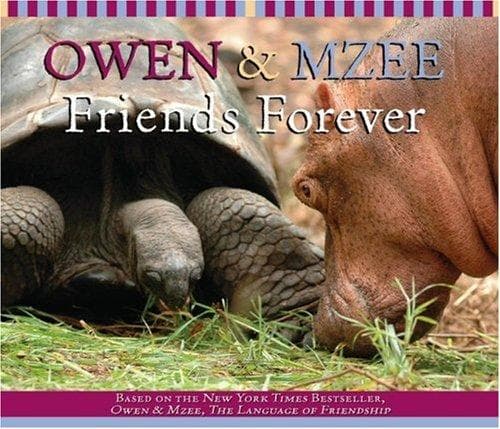 Tapa de Day Together (Owen And Mzee)