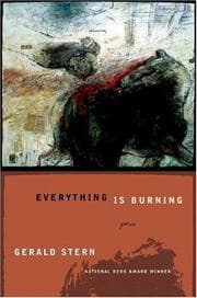 Tapa de Everything is burning