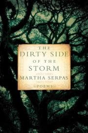 Tapa de The Dirty Side of the Storm