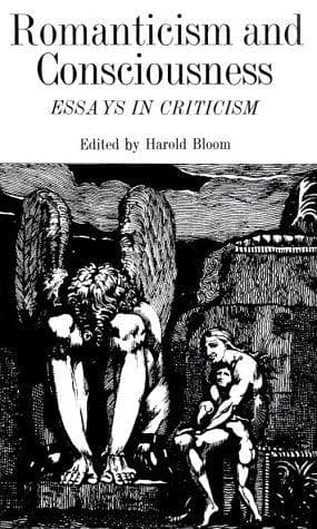 Tapa de Romanticism and consciousness