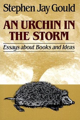 Tapa de Urchin in the Storm