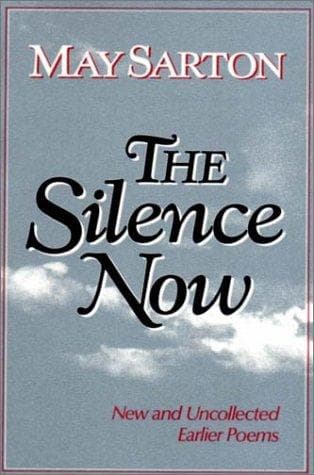 Tapa de The Silence Now