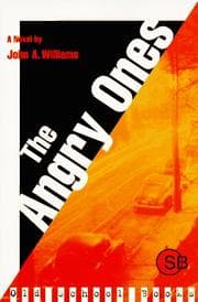Tapa de The angry ones