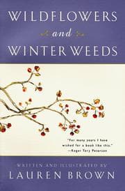 Tapa de Wildflowers and Winter Weeds