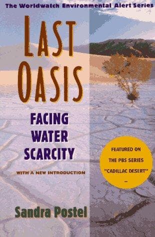 Tapa de Last oasis