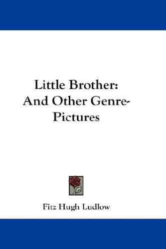 Tapa de Little Brother