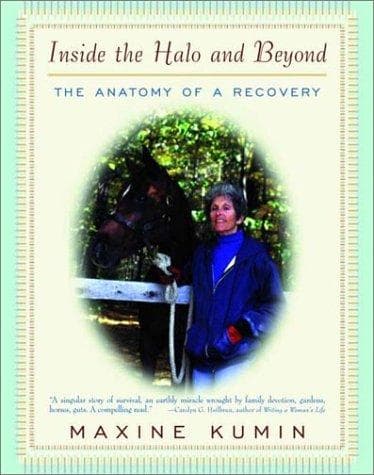 Tapa de Inside the Halo and Beyond