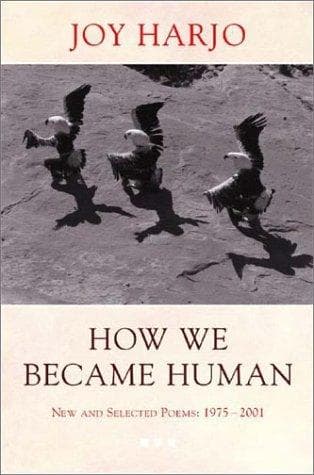 Tapa de How We Became Human