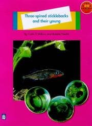 Tapa de Three-Spined Sticklebacks and Their Young