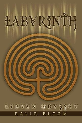 Tapa de Labyrinth