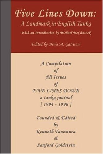 Tapa de Five Lines Down