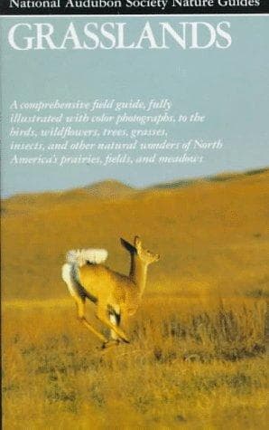 Tapa de Grasslands