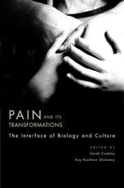 Tapa de Pain and its transformations