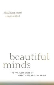 Tapa de Beautiful minds