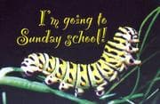 Tapa de I'm Going to Sunday School Caterpillar Postcard