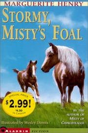 Tapa de Stormy, Misty's Foal (Misty #3)