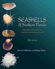 Tapa de Seashells of southern Florida