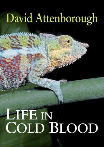 Tapa de Life in Cold Blood