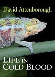 Tapa de Life in Cold Blood