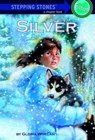 Tapa de Silver