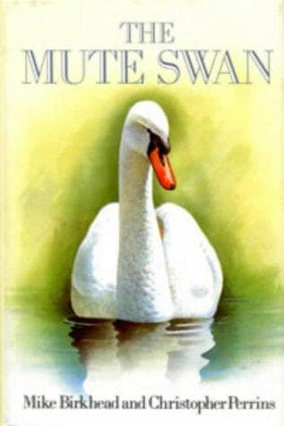 Tapa de The mute swan
