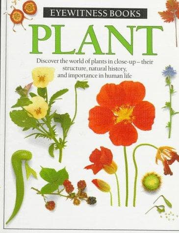 Tapa de Plant