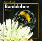 Tapa de Bumblebee (Stopwatch Books)