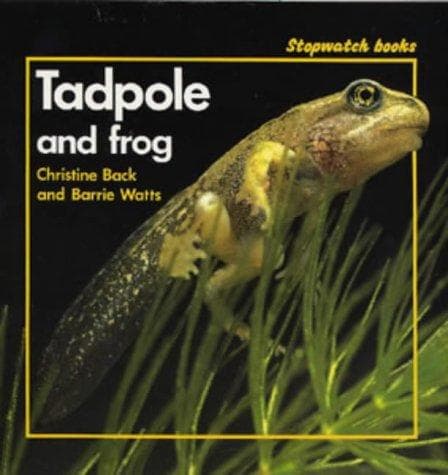 Tapa de Tadpole and frog