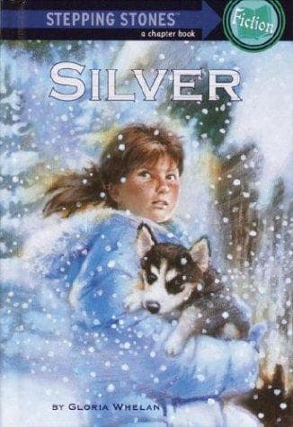 Tapa de Silver