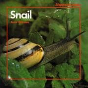 Tapa de Snail