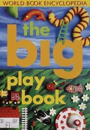 Tapa de Big Play Book