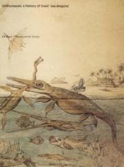 Tapa de Ichthyosaurs