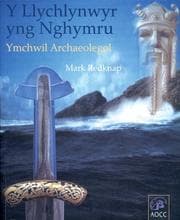 Tapa de Y Llychlynwyr Yng Nghymru